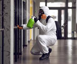 Why You Should Choose Our Mold Remediation Services in El Cerrito, CA